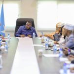 Somali Parliament Names Leaders for Key Electoral Reform Committee