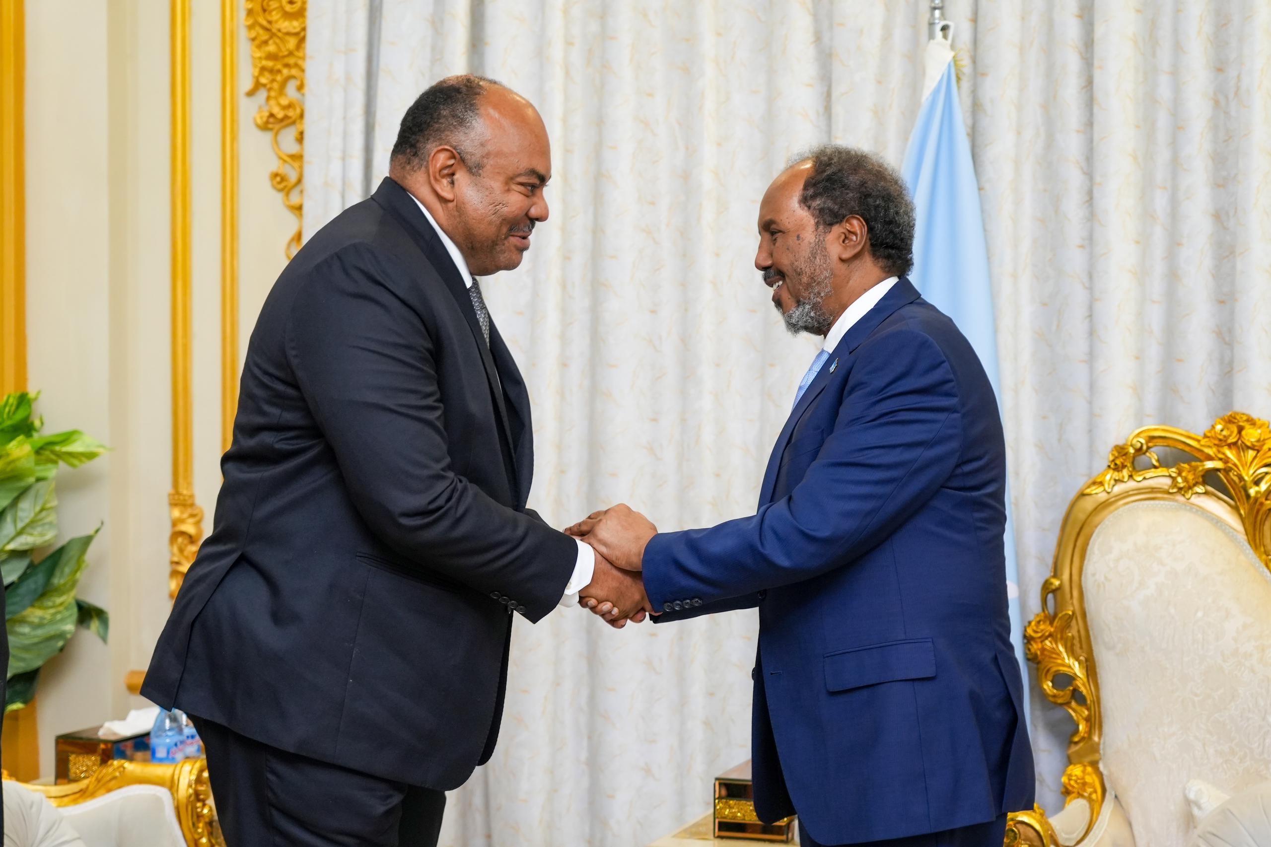 A photo of Somali President Hassan Sheikh Mohamud (right) standing with Tanzanian Foreign Minister Mohamud Thabit Kombo (left) at the Presidential Palace in Mogadishu, taken on December 19, 2024.