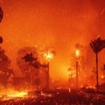 Devastating Wildfire in Los Angeles