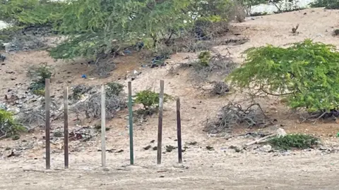 A makeshift execution site in a barren, bushy area with five wooden poles standing upright in the sand.