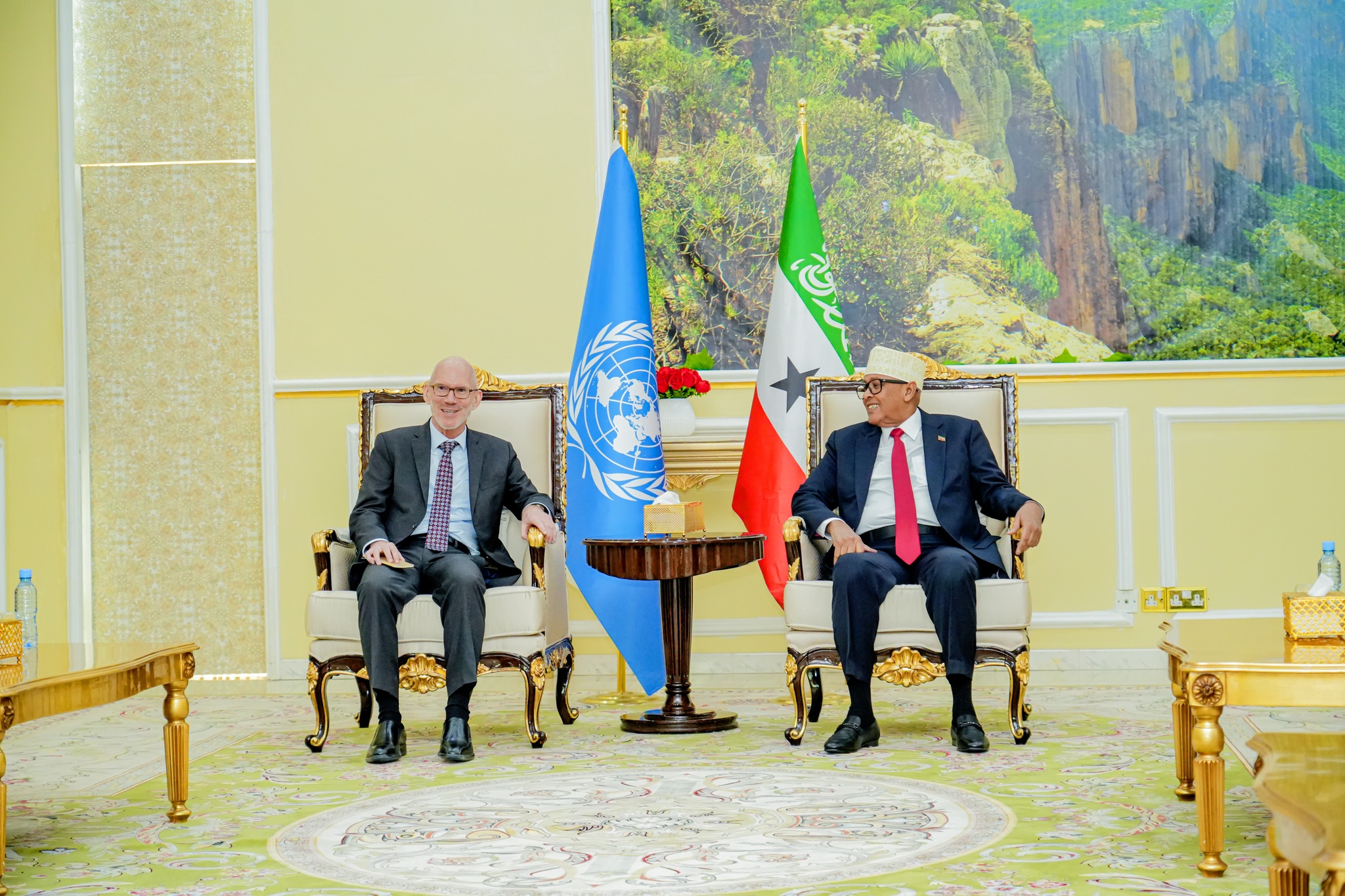 UN Special Representative James Swan and Somaliland leader Cabdiraxmaan Cirro seated during a formal meeting, with flags of the UN and Somaliland in the background.