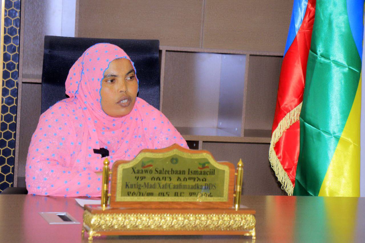 Xaawo Saleebaan Ismaaciil, Deputy Head of Health Bureau of Somali Regional State (DDS), sits at a desk with a nameplate and the regional flag in the background. She is wearing a pink hijab with blue patterns and appears to be addressing a meeting.