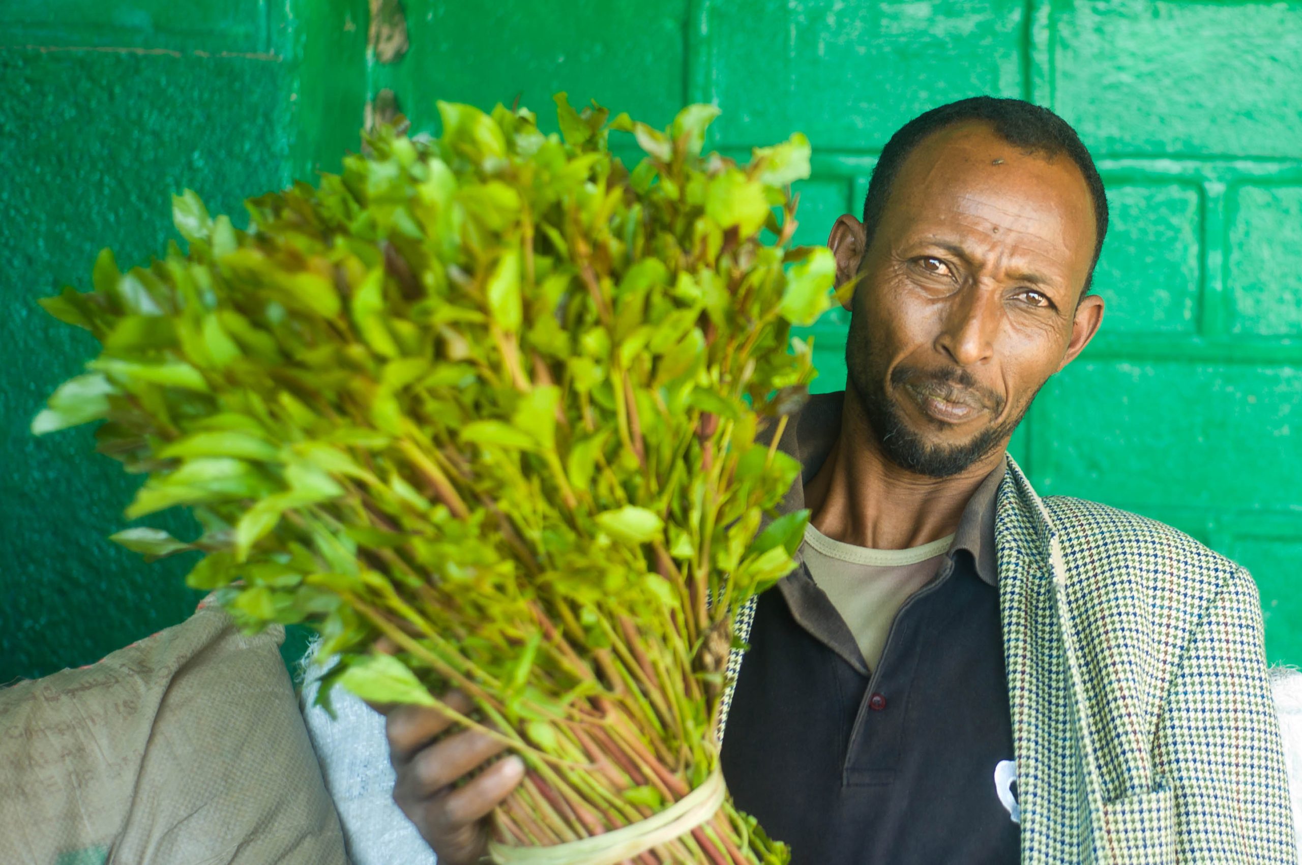 Somali man holding a bundle of khat leaves in his hand, standing against a green-colored wall.