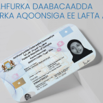 The Link Between the National Identity Card and Elections