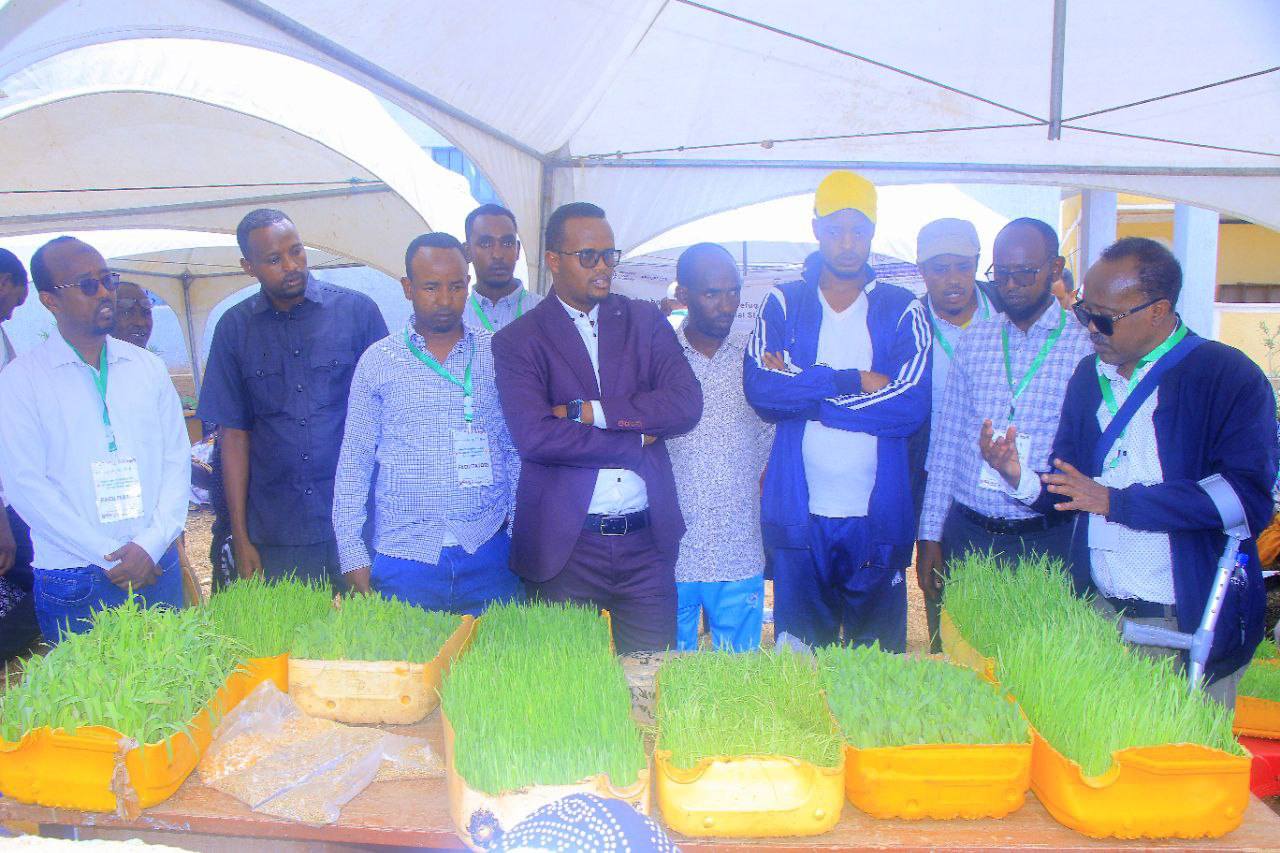 Agricultural exhibition in Qabribayax showcasing livestock feed and dairy production achievements