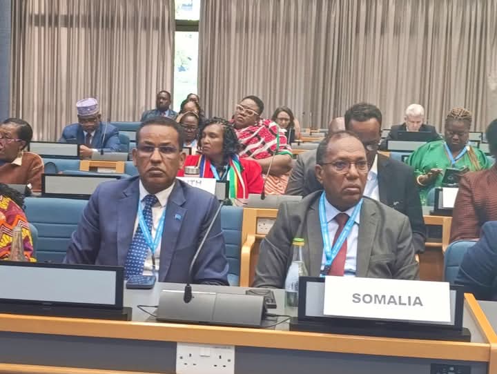 Somalia Secures Historic Seat on UN-Habitat Executive Board for the First Time