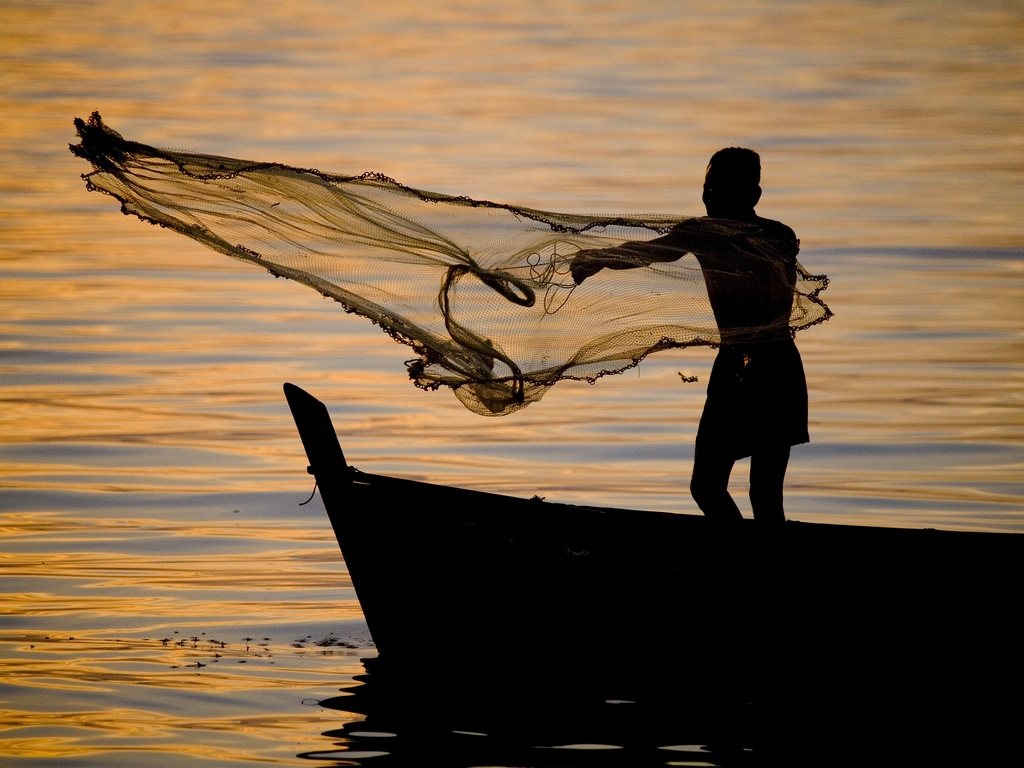A Somali fisherman, busy with his work, is trying his best to catch his food.