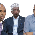 Somali Opposition Accuses Ministers and Parliamentary Guards of Assault and Intimidation