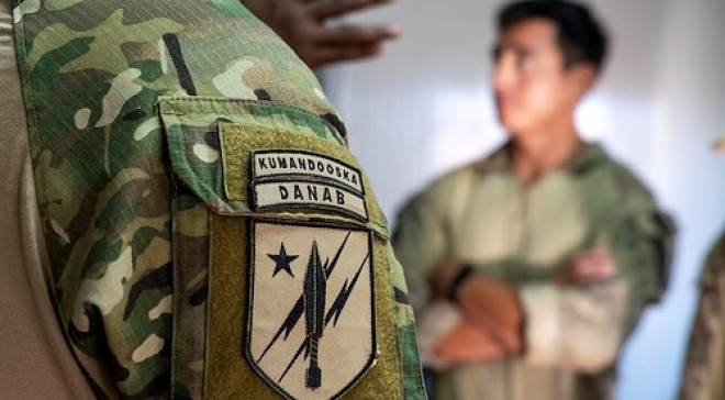 Danab Logo